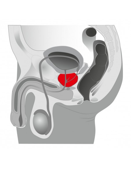 Masażery prostaty - JoyDivision Joystick Booster masażer prostaty z...